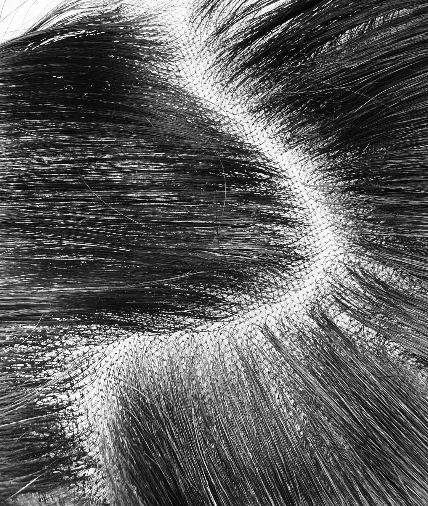 Cambodian HD Lace Frontals